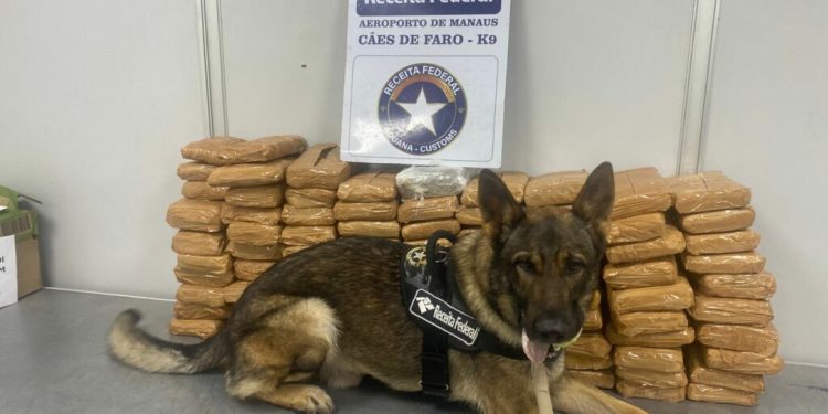 Funcionário da GOL Log é preso por tráfico de drogas no Aeroporto de Manaus