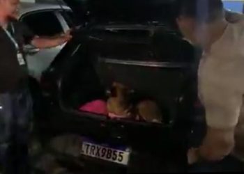 Veja vídeo: bandidos abandonam 28 kg de maconha e dois cachorros caramelo dentro de carro em Manaus