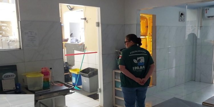 Ipaam orienta sobre o licenciamento obrigatório de clínicas veterinárias no Amazonas