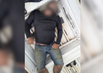 Homem morre após ataque de abelhas africanas no interior do AM