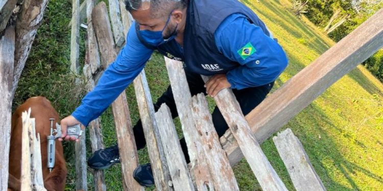 Adaf prorroga vacinação contra raiva dos herbívoros até 30 de setembro