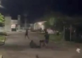 Homem é morto após ataque a policiais em festa de Santo Antônio no Amazonas