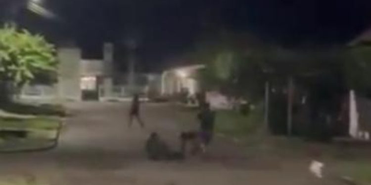 Homem é morto após ataque a policiais em festa de Santo Antônio no Amazonas