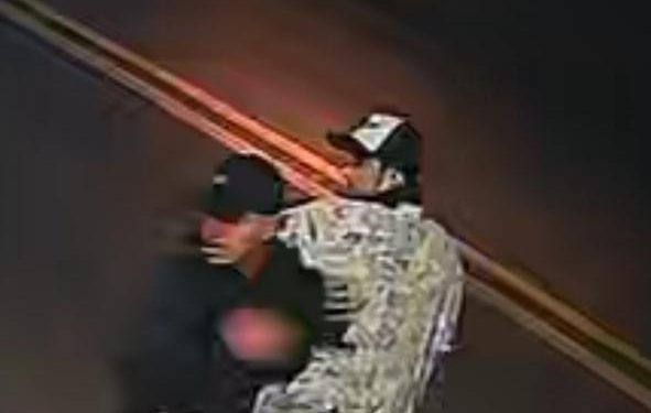 Vídeos: Assalto aterroriza comerciantes e clientes em loja de açaí no Planalto