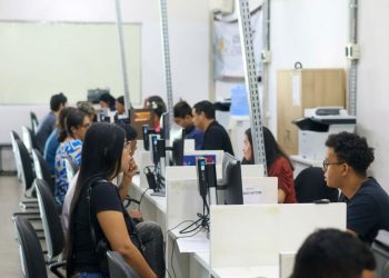 São 293 vagas para diversas áreas de atuação.