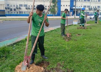 Ação bate recorde de doação e plantio de mudas no bairro Nova Cidade