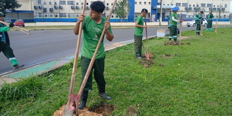 Ação bate recorde de doação e plantio de mudas no bairro Nova Cidade