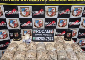 Polícia Militar do Amazonas apreende 18 pacotes com oxi em laboratório de drogas