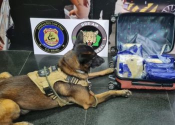 Passageira é presa ao desembarcar em Manaus com 9 kg de droga tipo skunk na bagagem