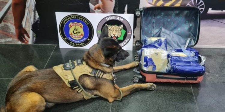 Passageira é presa ao desembarcar em Manaus com 9 kg de droga tipo skunk na bagagem