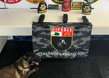 Cadela fareja drogas