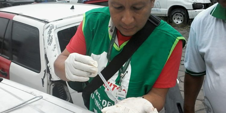 Amazonas divulga cenário de arboviroses nesta quinta-feira