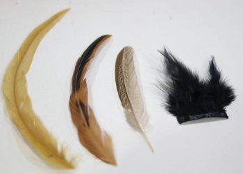 Festival de Parintins 2025: Amazonastur reforça campanha “Turismo sem Penas” para prevenir uso ilegal de penas naturais