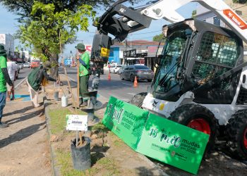 Prefeitura de Manaus tem marco histórico na arborização e apresenta avanços da gestão