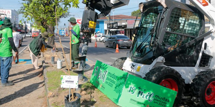 Prefeitura de Manaus tem marco histórico na arborização e apresenta avanços da gestão