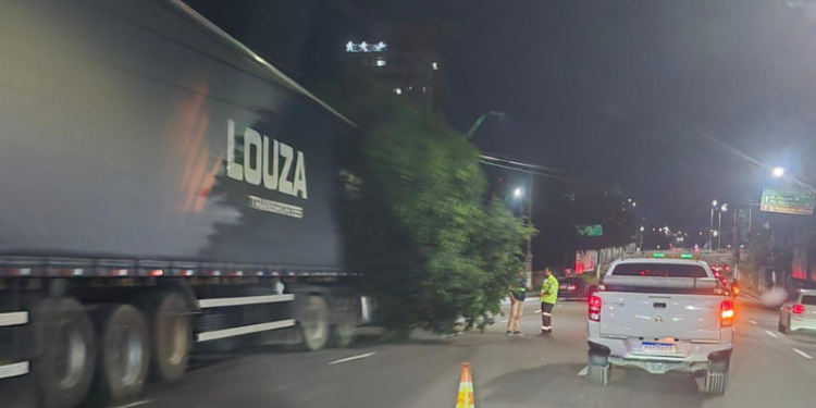 caminhão derruba árvore na Avenida Umberto Calderaro em Manaus