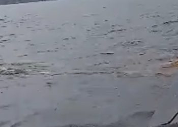 Dois idosos morrem e homem sobrevive após naufrágio em Barreirinha