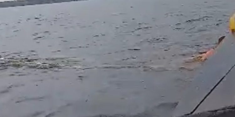 Dois idosos morrem e homem sobrevive após naufrágio em Barreirinha