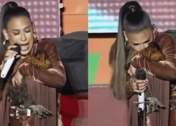 Simone Mendes ganha galinha de presente durante show: “Mamãe vai cuidar!”