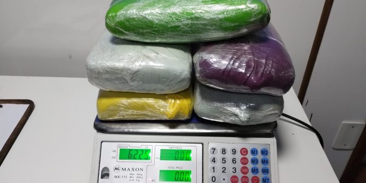 Cadela policial encontra seis quilos de haxixe escondidos em caixa de papelão