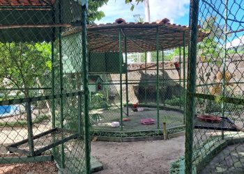 Mantenedouros de fauna: Ipaam explica como funciona e quais são as regras