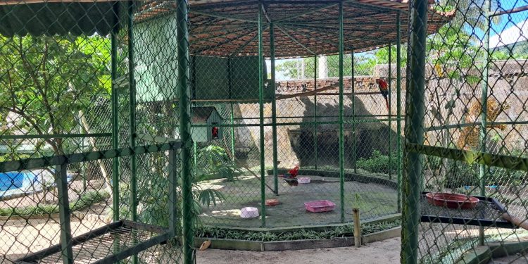 Mantenedouros de fauna: Ipaam explica como funciona e quais são as regras