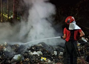 Em 10 dias, Corpo de Bombeiros atendeu 53 ocorrências de incêndio em vegetação urbana e lixeiras clandestinas em Manaus