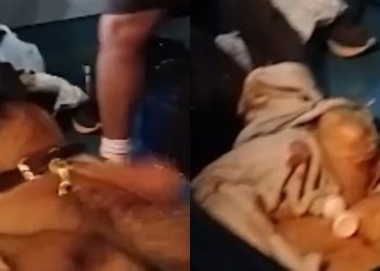 Base Arpão 3: 12 quilos de drogas são apreendidas no interior de uma mala