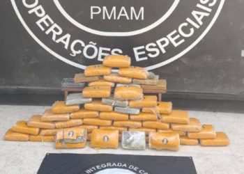 PM e PF prendem dois homens com 50 kg de skunk no Careiro da Várzea