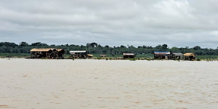 Estudo mapeia impactos do garimpo ilegal sobre trabalhadores cooptados