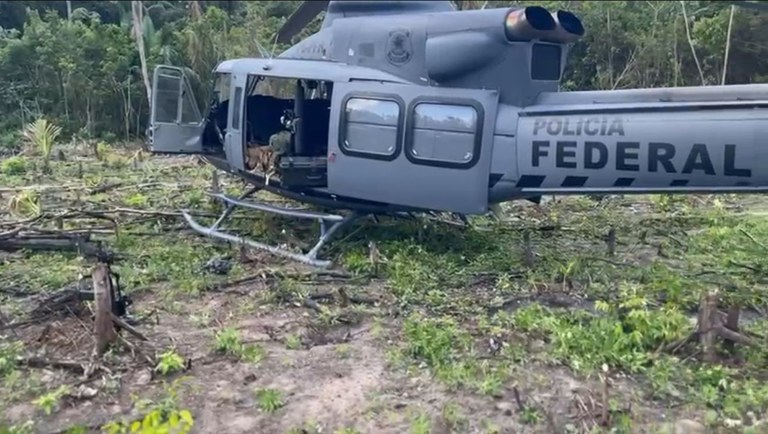 Operação 'Alvorada Verde' combate cultivo ilegal de maconha no interior do Amazonas