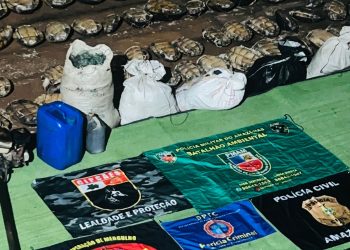 Vídeo: PMAM apreende mais de 250 quelônios, além de pescado e carne de caça ilegais na Base Arpão II