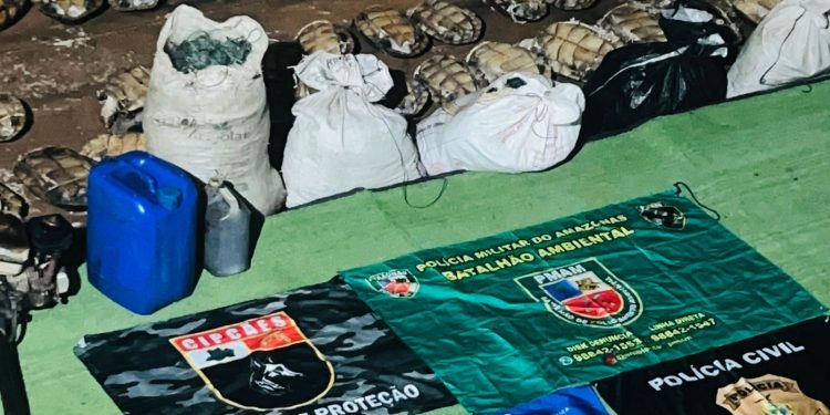 Vídeo: PMAM apreende mais de 250 quelônios, além de pescado e carne de caça ilegais na Base Arpão II