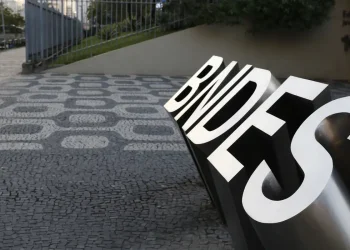 BNDES busca gestor para projetos de preservação de biomas