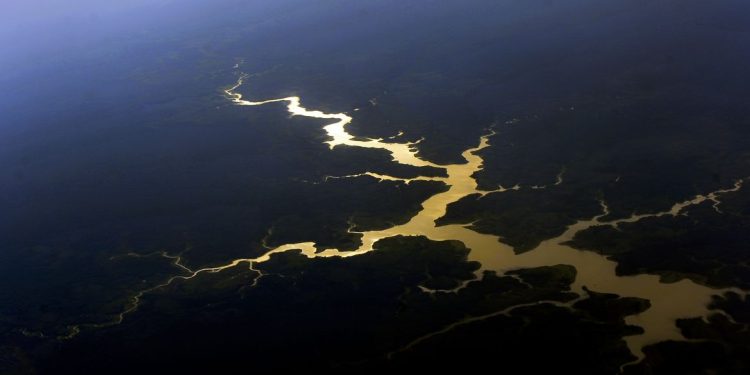 Fundo Amazônia completa 17 anos com novos investimentos