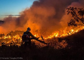 Amazônia registra novo aumento nos alertas de desmatamento, puxado por incêndios, aponta Deter