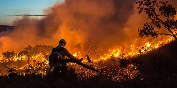 Amazônia registra novo aumento nos alertas de desmatamento, puxado por incêndios, aponta Deter
