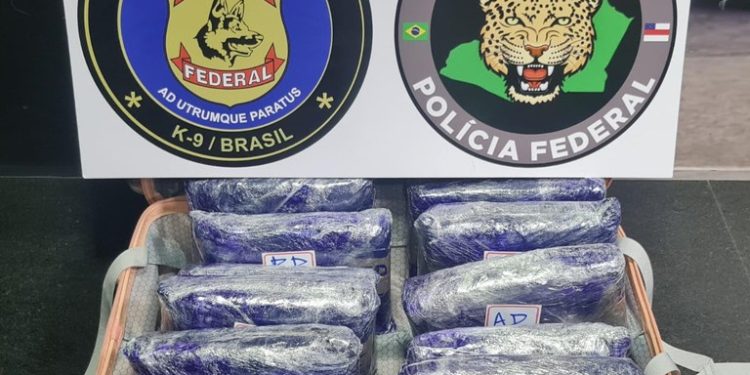 Mulher é presa com mais de 13kg de maconha no Aeroporto de Manaus