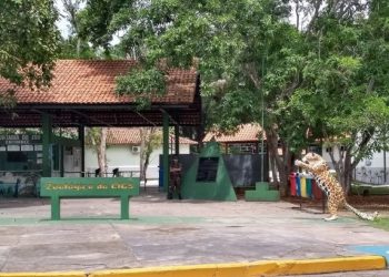 Zoológico do CIGS terá entrada gratuita celebração à Semana do Soldado