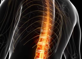 Pesquisa brasileira avança com medicamento para lesões na medula espinhal