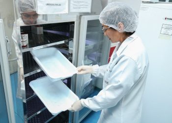 Baixo estoque de sangue: Hemoam funcionará normalmente no feriado e convoca doadores