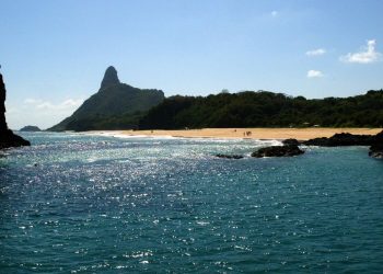 Ilhas brasileiras: estudo revela presença de espécies exclusivas