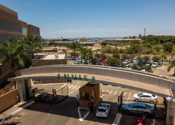 Anvisa proíbe venda de café torrado whey e suplementos; veja marcas