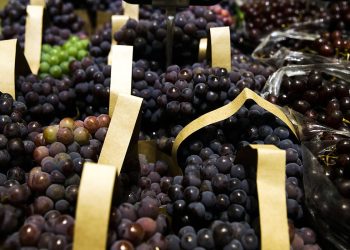 BNDES aprova R$ 1,2 bi para empresas afetadas pelo tarifaço