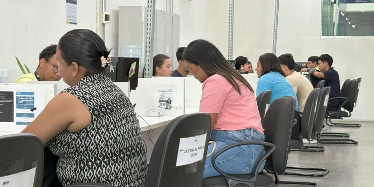 Sine Amazonas divulga 248 vagas de emprego para esta segunda-feira
