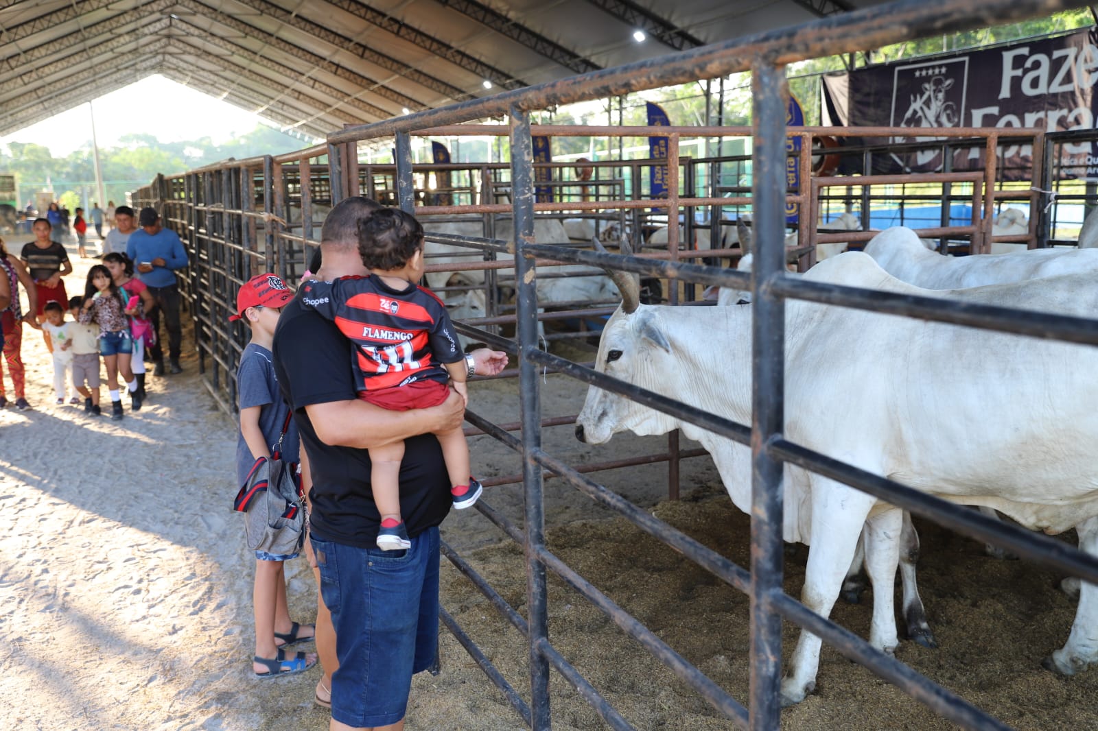 Expoagro 2025: Avanço genético e aumento na quantidade de animais em exposição marcam a 47ª edição