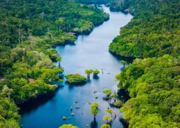 Amazonas registra menor número de focos de calor para setembro desde 2002, aponta Inpe