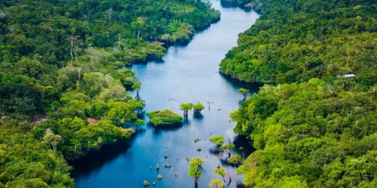 Amazonas registra menor número de focos de calor para setembro desde 2002, aponta Inpe