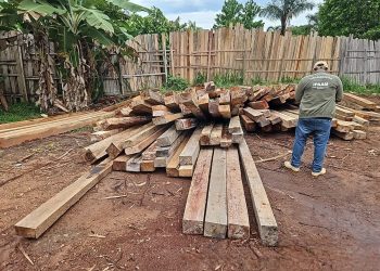 Operação Região Metropolitana: Ipaam e Batalhão Ambiental autuam dez empresas e aplicam R$ 7 milhões em multas