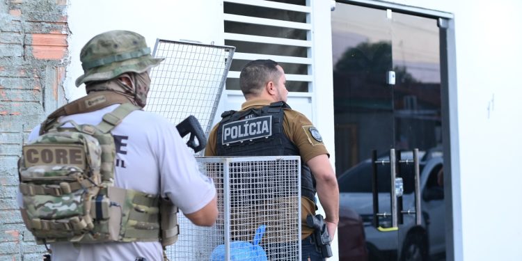 Balanço da SSP-AM: Em setembro, Amazonas registra queda histórica de homicídios